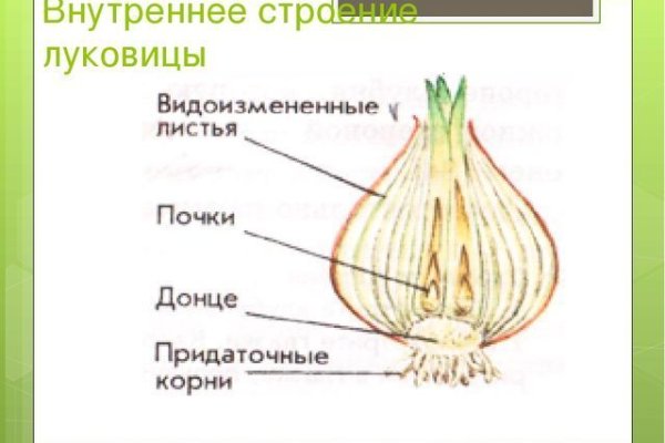 Какая ссылка у кракена