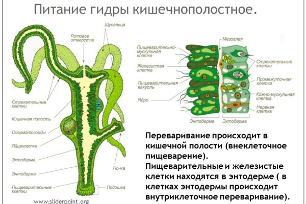 Кракен маркетплейс ссылка на сайт