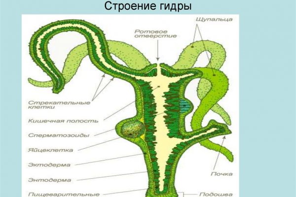 Кракен тор ссылка онион